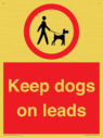 dogs-on-lead-symbol-with-black-text-on-white-background~